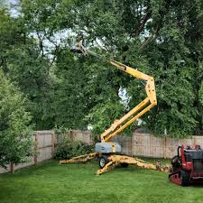 Best Sod Installation  in Wilburton, OK