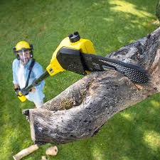 Best Arborist Consultation Services  in Wilburton, OK